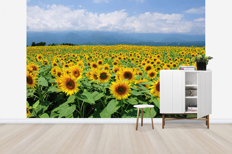 （PHOTOWALL / Sunflowers in Sunny Weather）